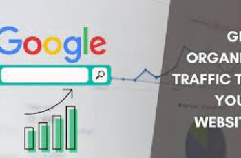 Google Organic Traffic