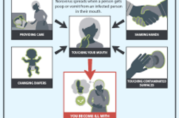 How Does Norovirus Spread